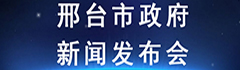 足球免费直播